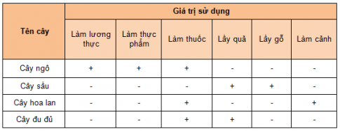 BÀI 29: THỰC VẬT