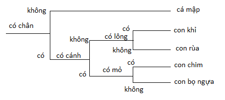 BÀI 26: KHÓA LƯỠNG PHÂN