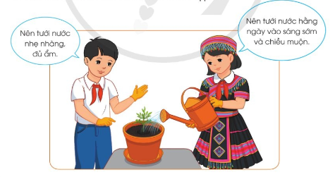 BÀI 6. TRỒNG CÂY VÀ CHĂM SÓC HOA TRONG CHẬU (P1)