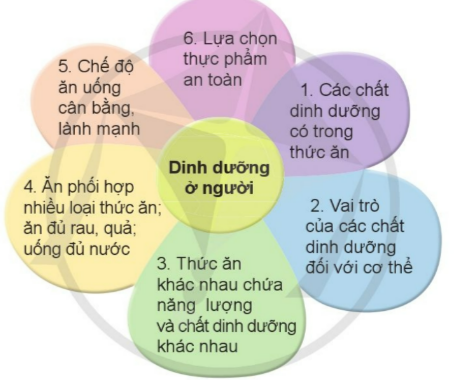 ÔN TẬP CHỦ ĐỀ CON NGƯỜI VÀ SỨC KHỎE