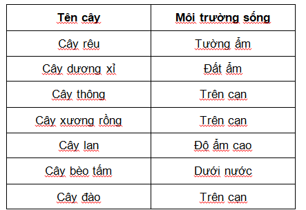 BÀI 29: THỰC VẬT