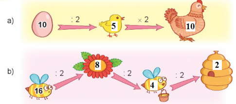 BÀI 43 BẢNG CHIA 2