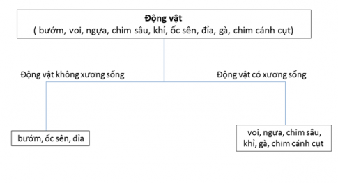 BÀI 31: ĐỘNG VẬT