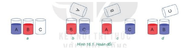 Có hai chất lỏng khác màu là xanh và đỏ