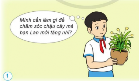 BÀI 13. NHU CẦU SỐNG CỦA THỰC VẬT VÀ CHĂM SÓC CÂY TRỒNG