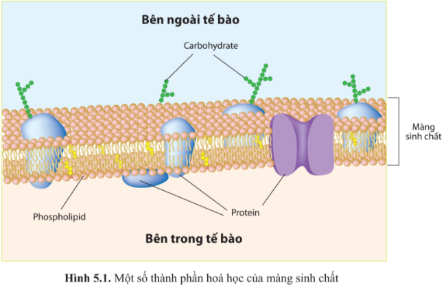 BÀI 5 - CÁC NGUYÊN TỐ HÓA HỌC VÀ NƯỚC