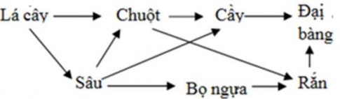 BÀI 44 HỆ SINH THÁI