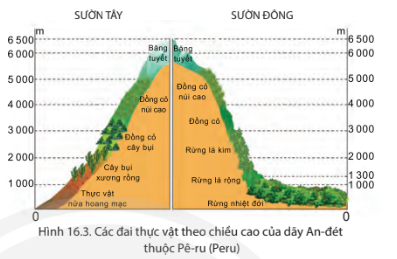 Giải bài 16 Thiên nhiên Trung và Nam Mỹ