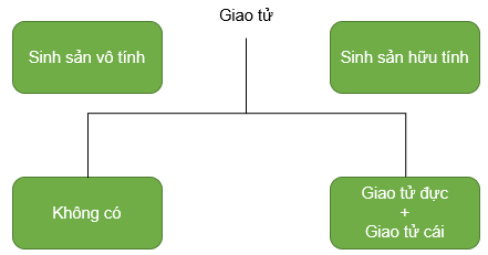 Ảnh có chứa văn bản, ảnh chụp màn hình, Phông chữ, biểu đồ

Mô tả được tạo tự động