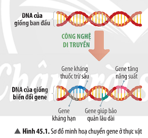 Ảnh có chứa văn bản, ảnh chụp màn hình, Phông chữ, biểu tượng

Mô tả được tạo tự động