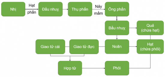 Ảnh có chứa văn bản, ảnh chụp màn hình, Phông chữ, biểu đồ

Mô tả được tạo tự động