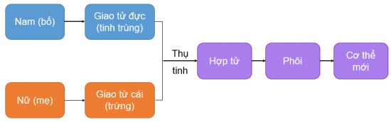 Ảnh có chứa văn bản, Phông chữ, ảnh chụp màn hình, bộ nhớ flash

Mô tả được tạo tự động