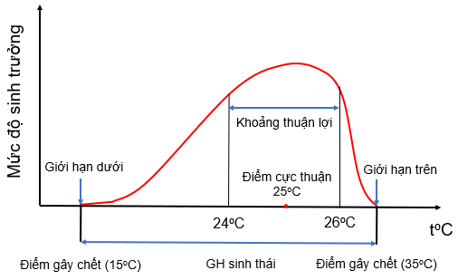 Ảnh có chứa văn bản, hàng, biểu đồ, Sơ đồ

Mô tả được tạo tự động