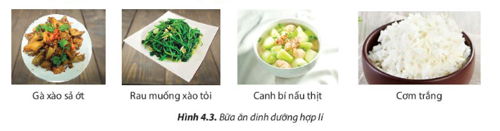 BÀI 4: THỰC PHẨM VÀ DINH DƯỠNG