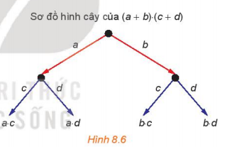 Giải bài 25 Nhị thức Newton