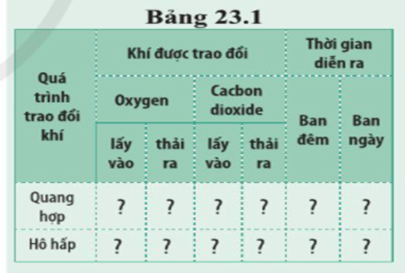 BÀI 23. TRAO ĐỔI KHÍ Ở SINH VẬT 