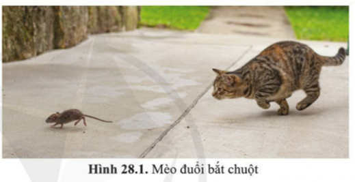BÀI 28. TẬP TÍNH Ở ĐỘNG VẬT