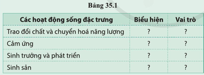 BÀI 35. SỰ THỐNG NHẤT VỀ CẤU TRÚC VÀ CÁC HOẠT ĐỘNG SỐNG TRONG CƠ THỂ SINH VẬT 