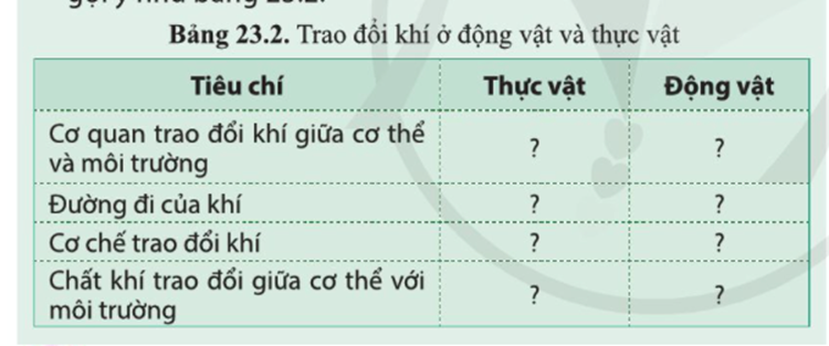 BÀI 23. TRAO ĐỔI KHÍ Ở SINH VẬT 