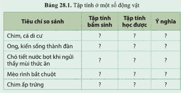 BÀI 28. TẬP TÍNH Ở ĐỘNG VẬT