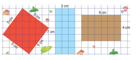 BÀI 52. DIỆN TÍCH HÌNH CHỮ NHẬT, DIỆN TÍCH HÌNH VUÔNG