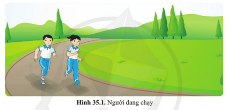 BÀI 35. SỰ THỐNG NHẤT VỀ CẤU TRÚC VÀ CÁC HOẠT ĐỘNG SỐNG TRONG CƠ THỂ SINH VẬT 