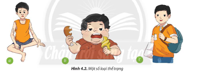 BÀI 4: THỰC PHẨM VÀ DINH DƯỠNG