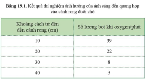 BÀI 19. CÁC YẾU TỐ ẢNH HƯỞNG ĐẾN QUANG HỢP