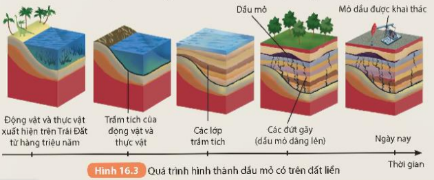 BÀI 16. VÒNG NĂNG LƯỢNG TRÊN TRÁI ĐẤT. NĂNG LƯỢNG HÓA THẠCH