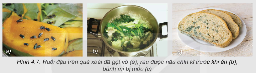 BÀI 4. AN TOÀN LAO ĐỘNG VÀ AN TOÀN VỆ SINH THỰC PHẨMKHỞI ĐỘNG    