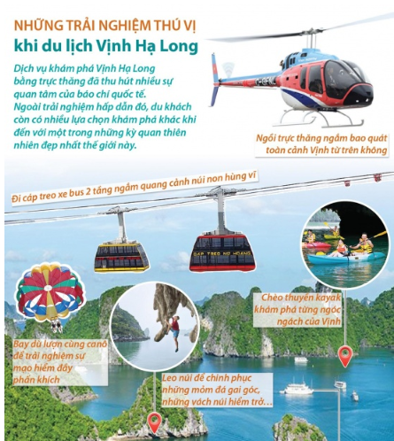 Hãy thiết kế một infographic (đồ họa thông tin) giới thiệu một lễ hội ở địa phương em đang sinh sống.