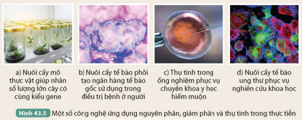 BÀI 43. NGUYÊN PHÂN VÀ GIẢM PHÂN KHỞI ĐỘNG