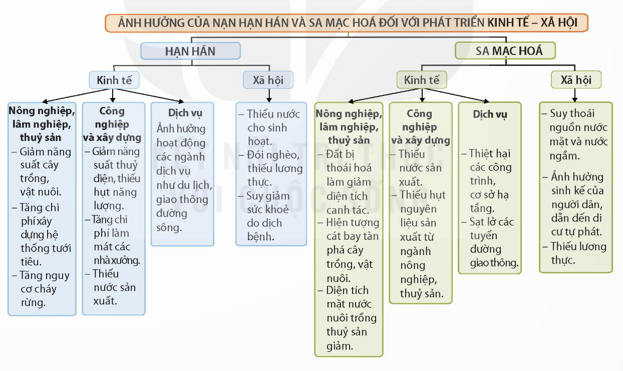 BÀI 13. THỰC HÀNH: PHÂN TÍCH ẢNH HƯỞNG CỦA HẠN HÁN VÀ SA MẠC HOÁ ĐỐI VỚI PHÁT TRIỂN KINH TẾ - XÃ HỘI Ở VÙNG KHÔ HẠN NINH THUẬN – BÌNH THUẬN