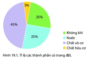 BÀI 19: LỚP ĐẤT VÀ CÁC NHÂN TỐ HÌNH THÀNH ĐẤT. MỘT SỐ NHÓM ĐẤT ĐIỂN HÌNH