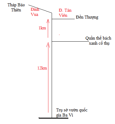 BÀI 3: LƯỢC ĐỒ TRÍ NHỚ