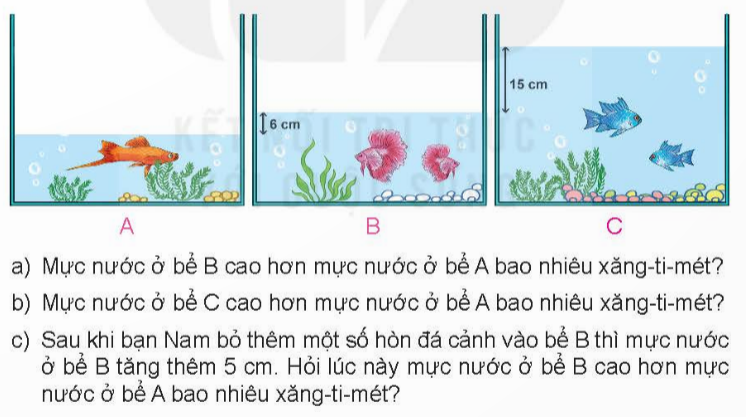 BÀI 21 LUYỆN TẬP CHUNG