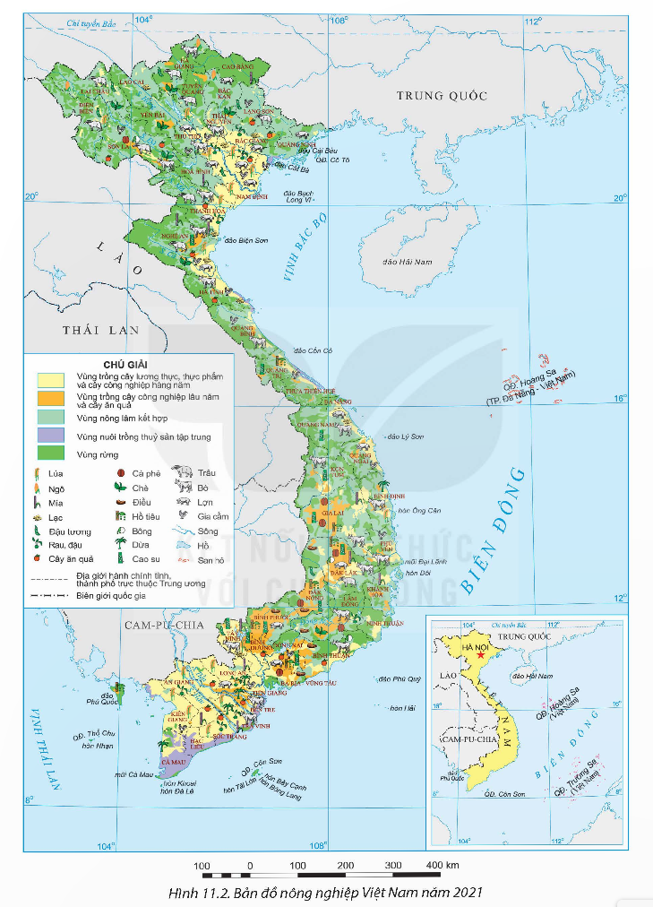 BÀI 11. VẤN ĐỀ PHÁT TRIỂN NGÀNH NÔNG NGHIỆP