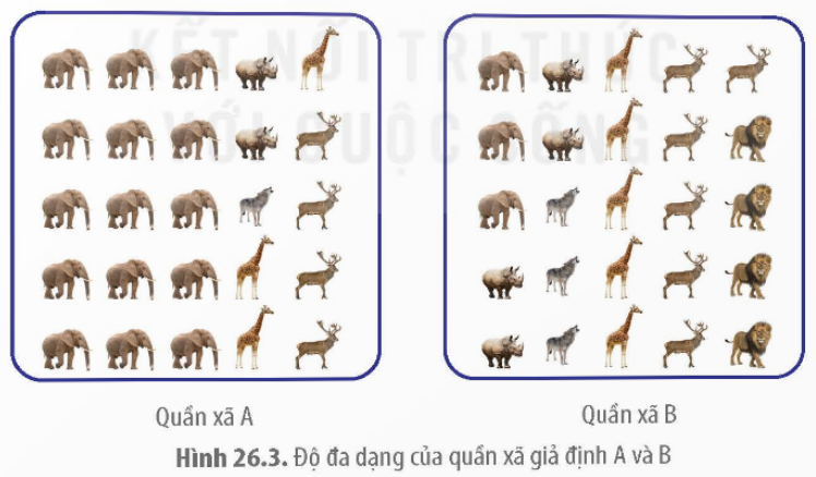 BÀI 26. QUẦN XÃ SINH VẬT