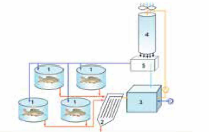 BÀI 21. MỘT SÔ ỨNG DỤNG CÔNG NGHỆ CAO TRONG NUÔI THỦY SẢN