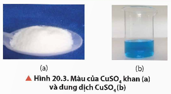 BÀI 20. SƠ LƯỢC VỀ PHỨC CHẤT VÀ SỰ HÌNH THÀNH PHỨC CHẤT CỦA ION KIM LOẠI CHUYỂN TIẾP TRONG DUNG DỊCH