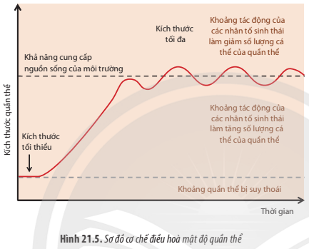 BÀI 21. QUẦN THỂ SINH VẬT