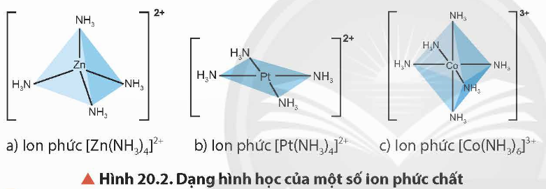 BÀI 20. SƠ LƯỢC VỀ PHỨC CHẤT VÀ SỰ HÌNH THÀNH PHỨC CHẤT CỦA ION KIM LOẠI CHUYỂN TIẾP TRONG DUNG DỊCH