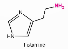 BÀI 6. AMINE