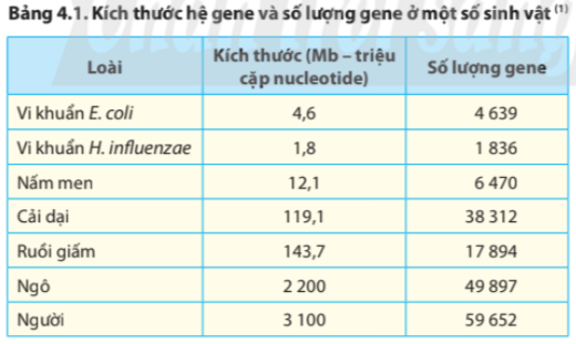 BÀI 4. HỆ GENE ĐỘT BIẾN VÀ CÔNG NGHỆ GENE