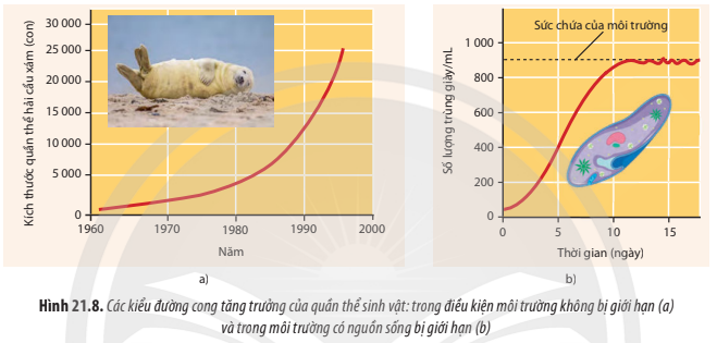 BÀI 21. QUẦN THỂ SINH VẬT