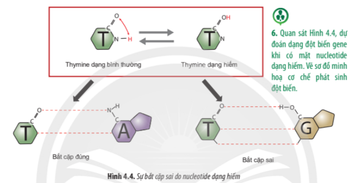 BÀI 4. HỆ GENE ĐỘT BIẾN VÀ CÔNG NGHỆ GENE