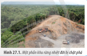 BÀI 27. SINH THÁI HỌC PHỤC HỒI VÀ BẢO TỒN 