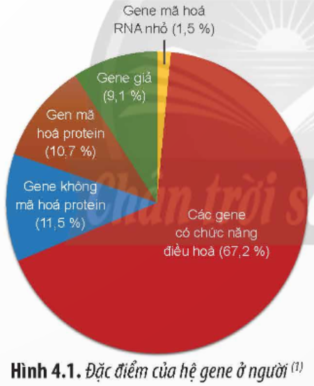 BÀI 4. HỆ GENE ĐỘT BIẾN VÀ CÔNG NGHỆ GENE