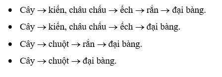 BÀI 25. HỆ SINH THÁI