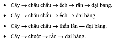 BÀI 25. HỆ SINH THÁI